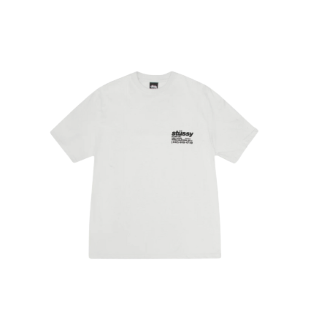 Stussy DNA Tee Pigment Dyed Natural (FW24)